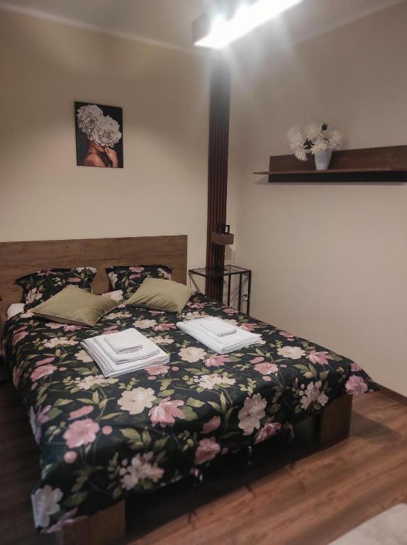 Centrum Rp Apartment Kattowitz